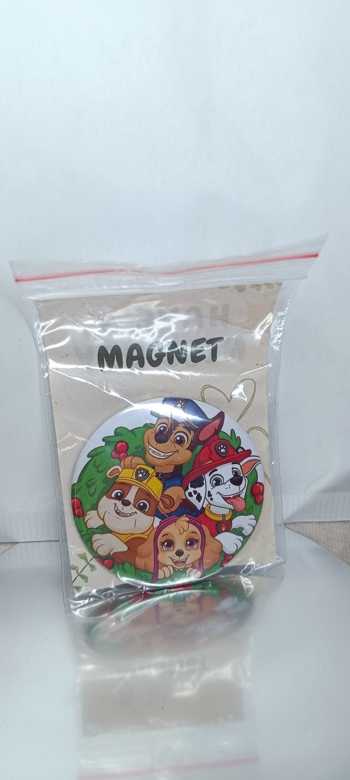 Magnes Psi Patrol 58 mm | Fan-made pin | OUTLET