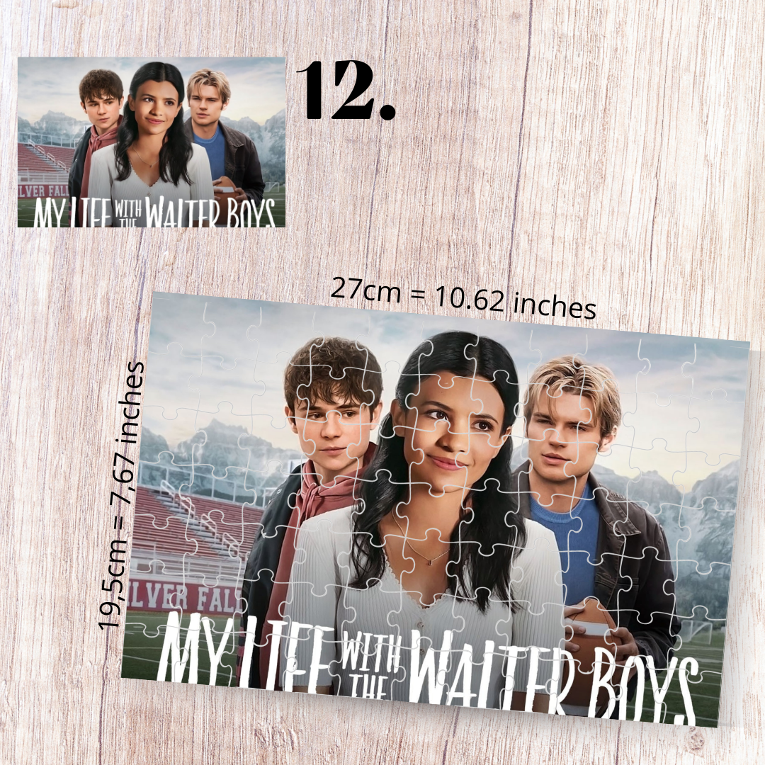Puzzle 88 Pieces - My Life with the Walter Boys Inspired