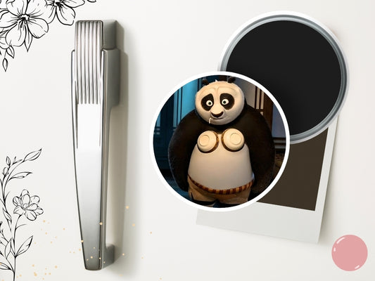 Kung Fu Panda Refrigerator Magnet - movie-inspired, funny magnet, Po, Shifu