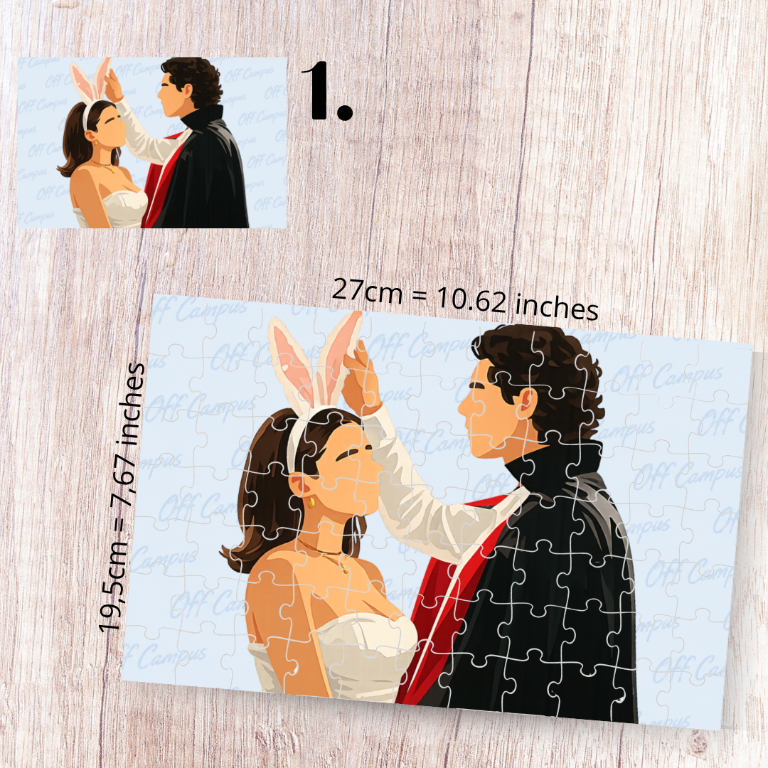 Puzzle Off Campus – Eishockey-Romanze und BookTok-Ästhetik