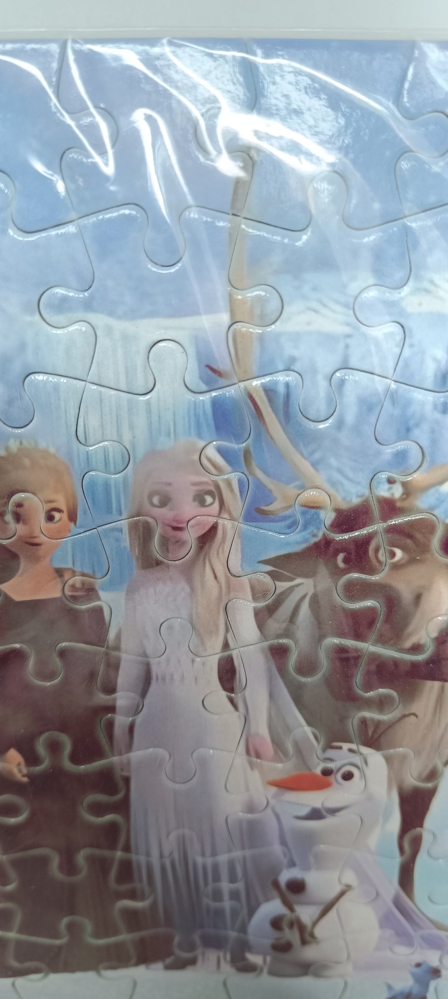 Frozen Puzzle Land | Fan-made 88 pc. puzzle | OUTLET - printing error