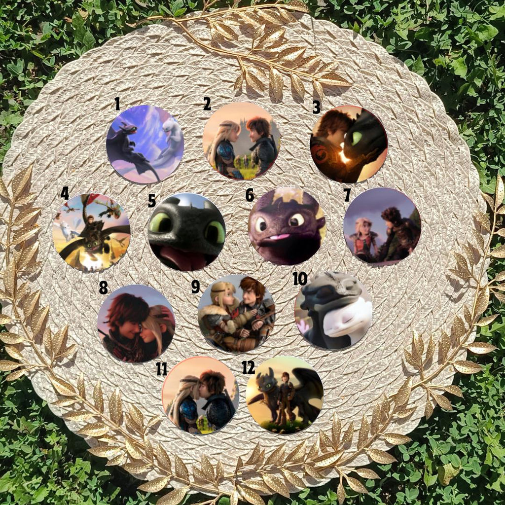 How to Train Your Dragon, Toothless, Hiccup, Astrid, Fishlegs, Ruffnus, Tuffnut, Snotlout, Stoick, Stormfly | PINS, KEYCHAIN, MAGNET