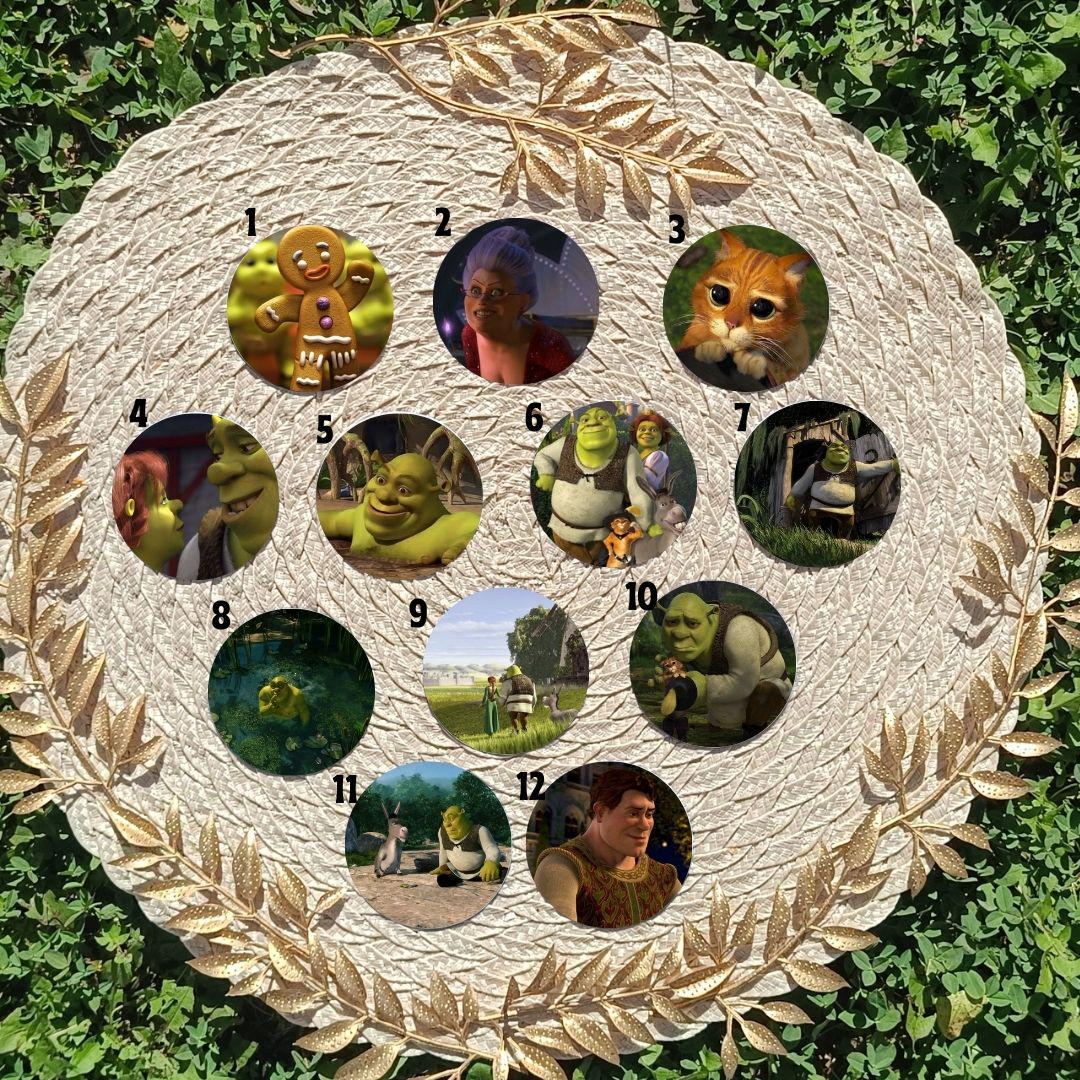 Shrek fridge magnet - inspired by DreamWorks, fun magnet, Shrek, Fiona, Donkey